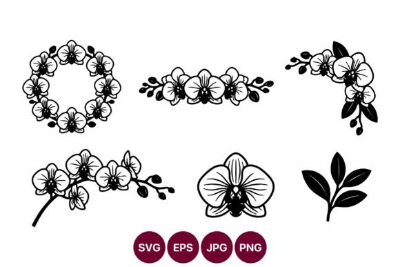 Evaluating the Orchid Line Art Collection for Professional Design Workflows