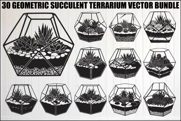 Geometric Succulent Terrarium Bundle