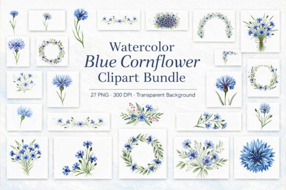 Watercolor Blue Cornflower Clipart Bundle